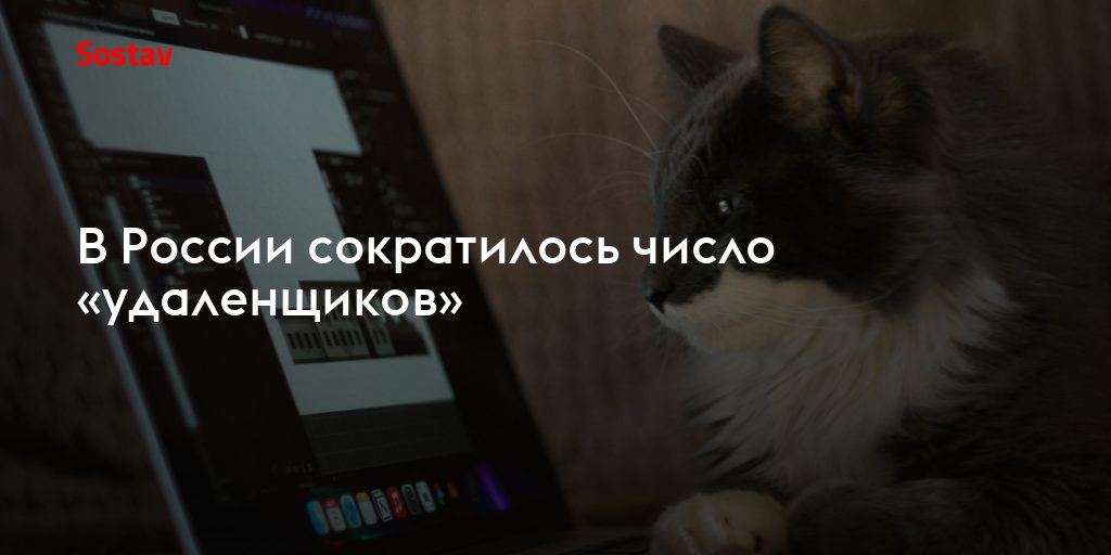 Удаленка в России пошла на спад: что это значит для рынка труда и медиа